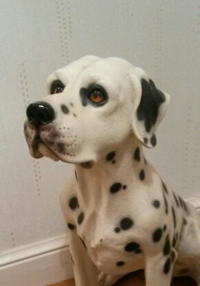 Samfire55's profile picture. 