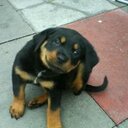 Nathaniel spence - @Nathanielandnie - Twitter