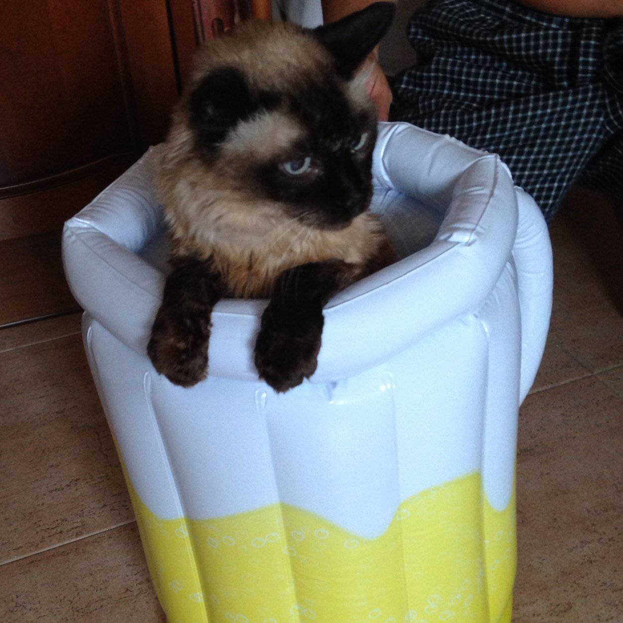 bucksladyinSPN's profile picture. 