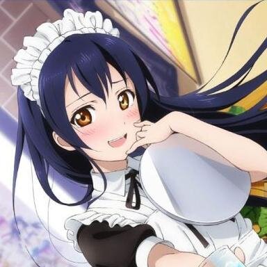 私は穂乃果やことりたちとμ’sというグループでスクールアイドルをやってる園田海未といいます。非公式なので崩壊する時もあるので注意して欲しいです。みなさんよろしくお願いします