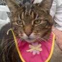 Kim Longmire - @k1mmyl - Twitter