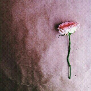 ‏الحمدالله.