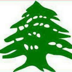 mohsenhazi's profile picture. 