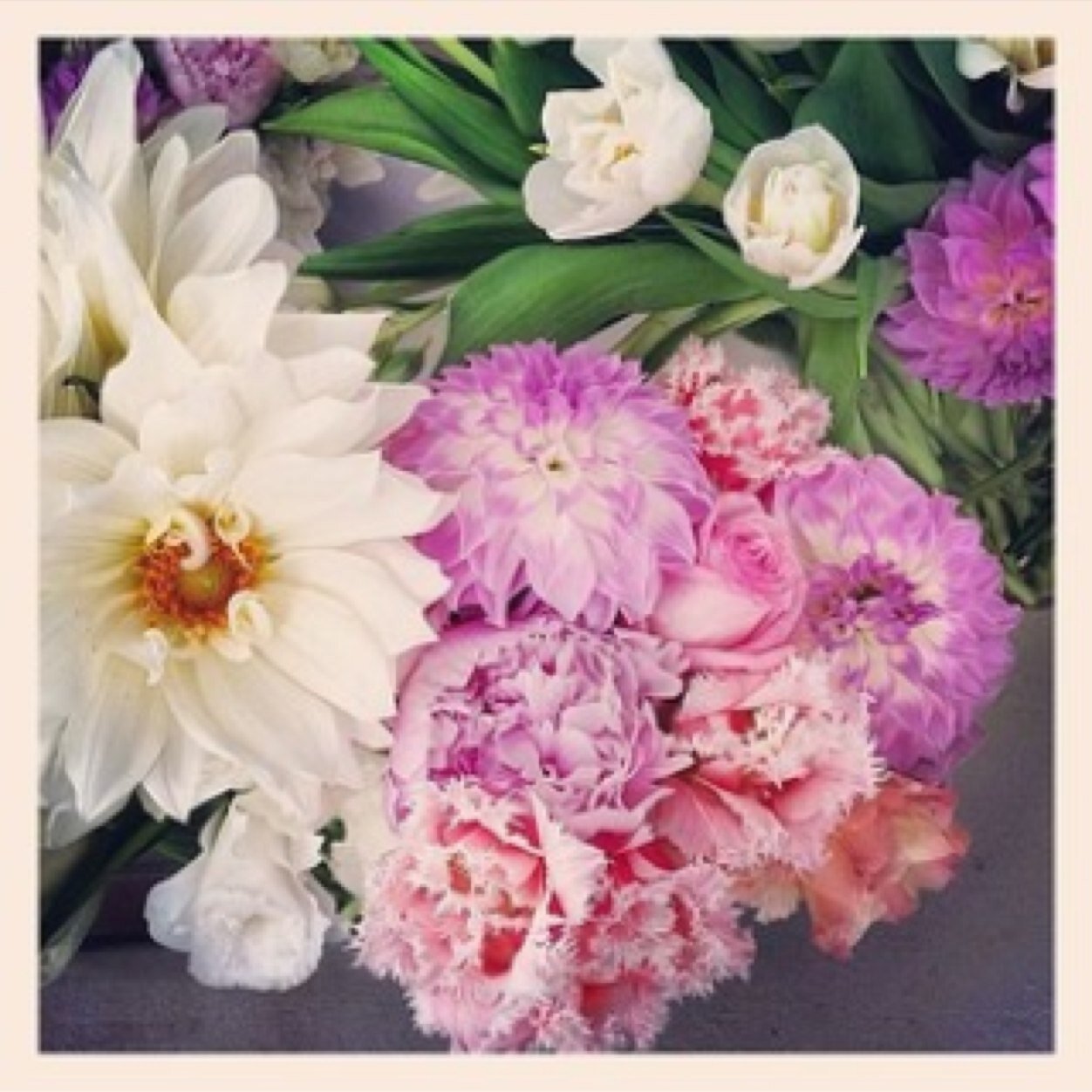 Celine_BDior's profile picture. To Know Me is 2 ❤ Me - I am who I am ✌