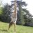 jess_marriner's profile image