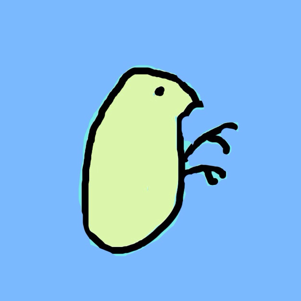 こっぱみじんこ