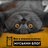 musja_ru's profile image