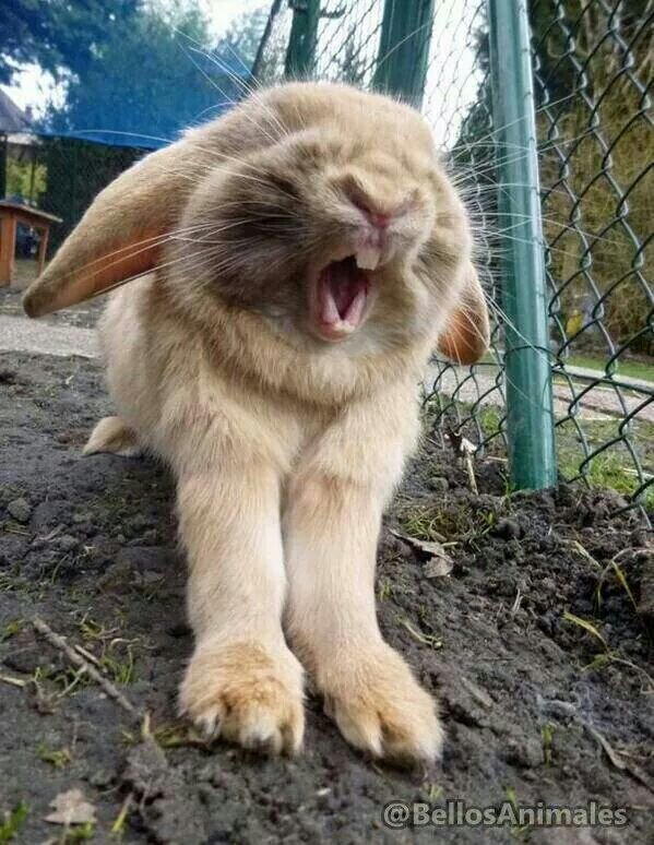 Azotetuits's profile picture. Azotando todo lo que se ponga a tiro