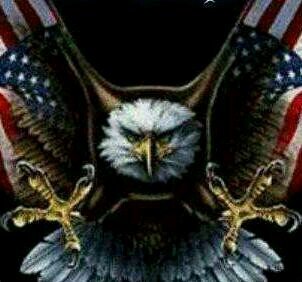 Proud American - Martial Artist - Gun Owner  #FJB  #NoVax #AmericaFirst #Trump2024  #MAGA
#PureBlood #2A                             No DMs  

IFB ALL PATRIOTS!