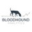 Bloodhound Analytics