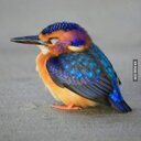 Daniel Mangold - @DmMangold - Twitter