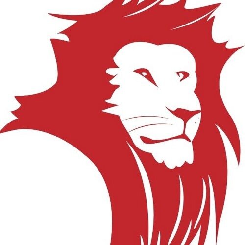 Lionsraw is a movement seeking to Create Chances for Change by harnessing the passion of football fans, enabling them to serve others at home and away