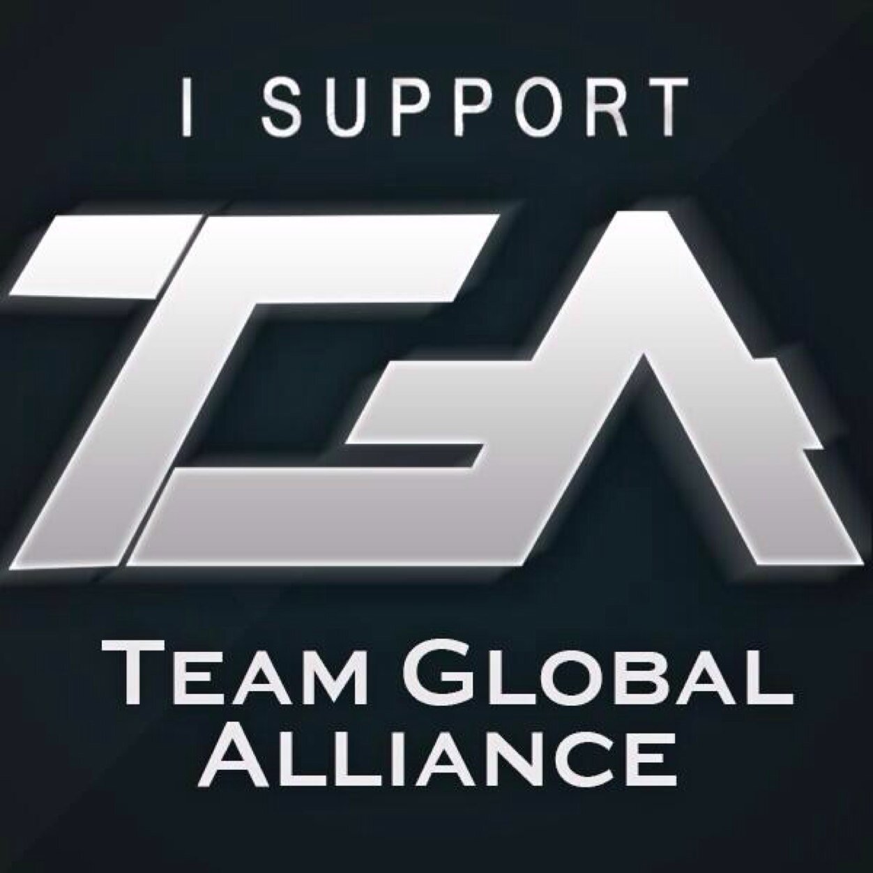 TeamGlobalA's profile picture. | Team Global Alliance | Competitive and Sniping Team |