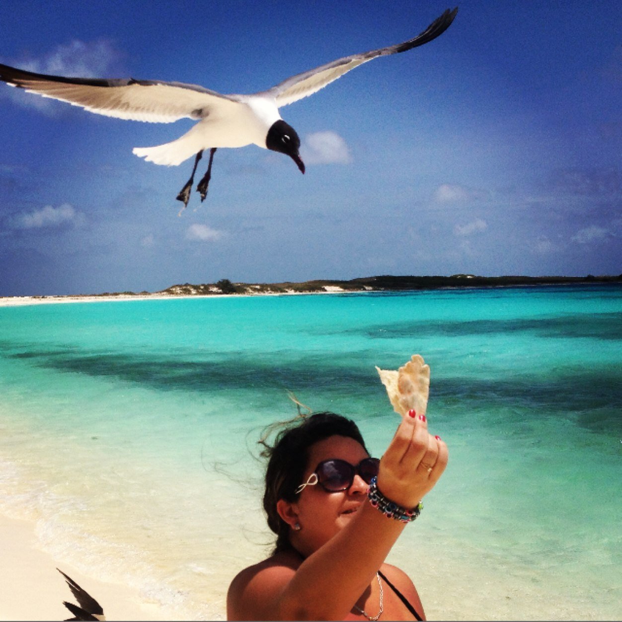 RosberlyCK's profile picture. Periodista/Lic. Administración. Luchadora de la Libertad, Leer me llena de vida, orgullosa de nacer en una tierra bendita y llena de gracia, Venezuela.