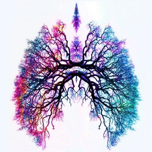 Product Specialist of ICU's systems; mechanical ventilators systems, humidification, HFOV, CPAP, NHF.