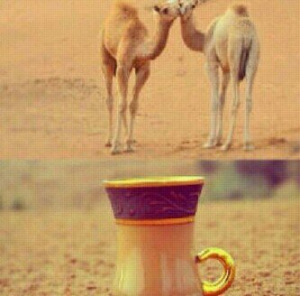 خذ نهاية علوومي امووت واحياء في غرام البداوه