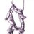 Le_major_alba's profile image