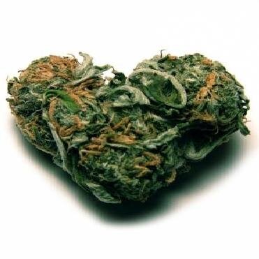 SignatureStrains is providing Medical and Recreational Marijuana Strains to Producers/Growers
