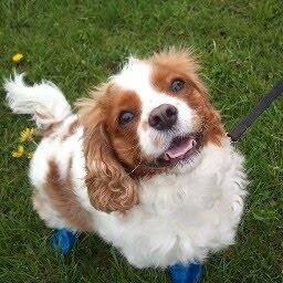 MelissaRyzy's profile picture. Connecting with the world! #sbac