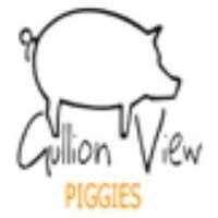 Gullion View Piggies (@gullionviewpigs) 's Twitter Profile