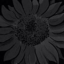 Irene Chiu - @IreneChui0922 - Twitter