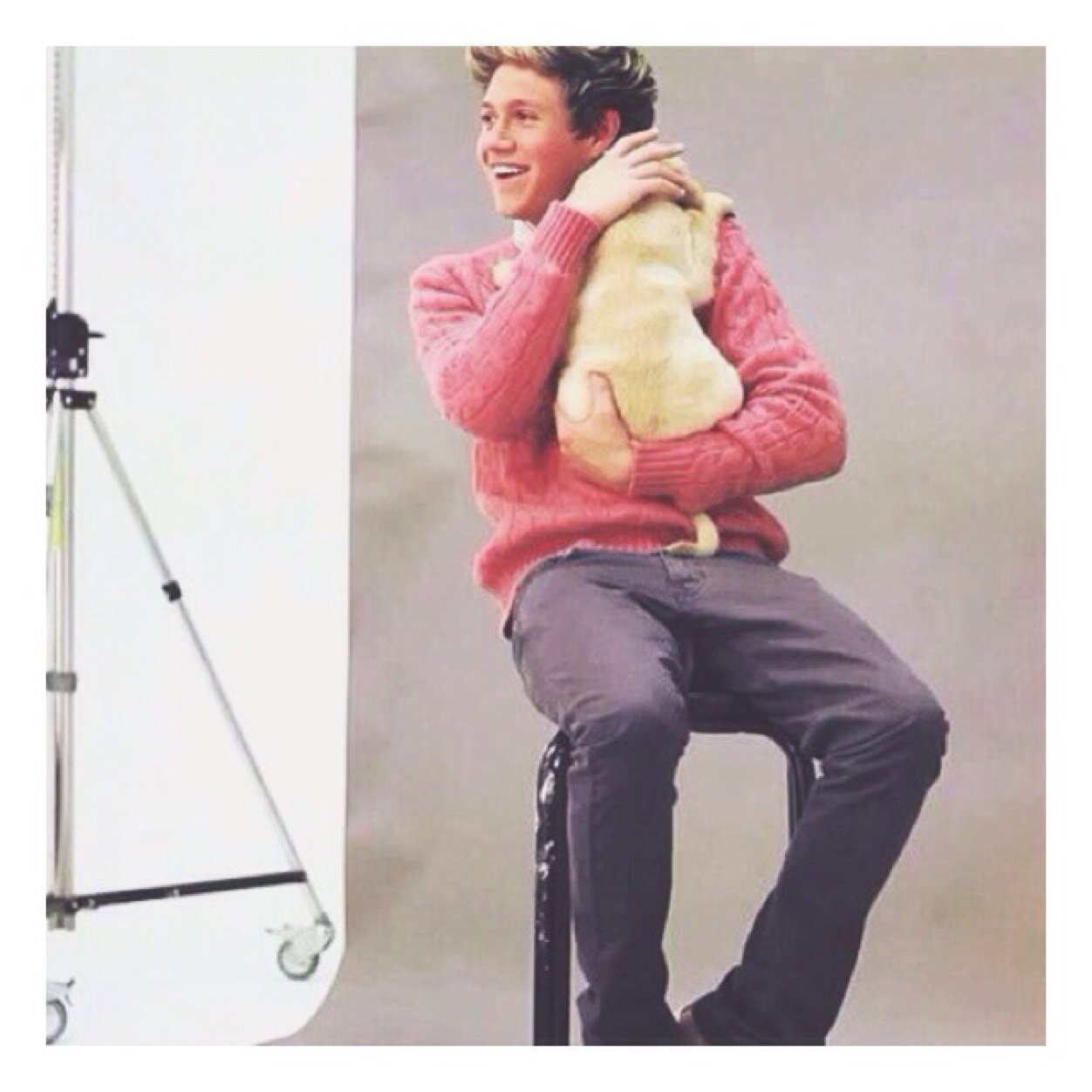 ♡ give me a tiny niall to carry everywhere in my pocket n i'll be happy ♡