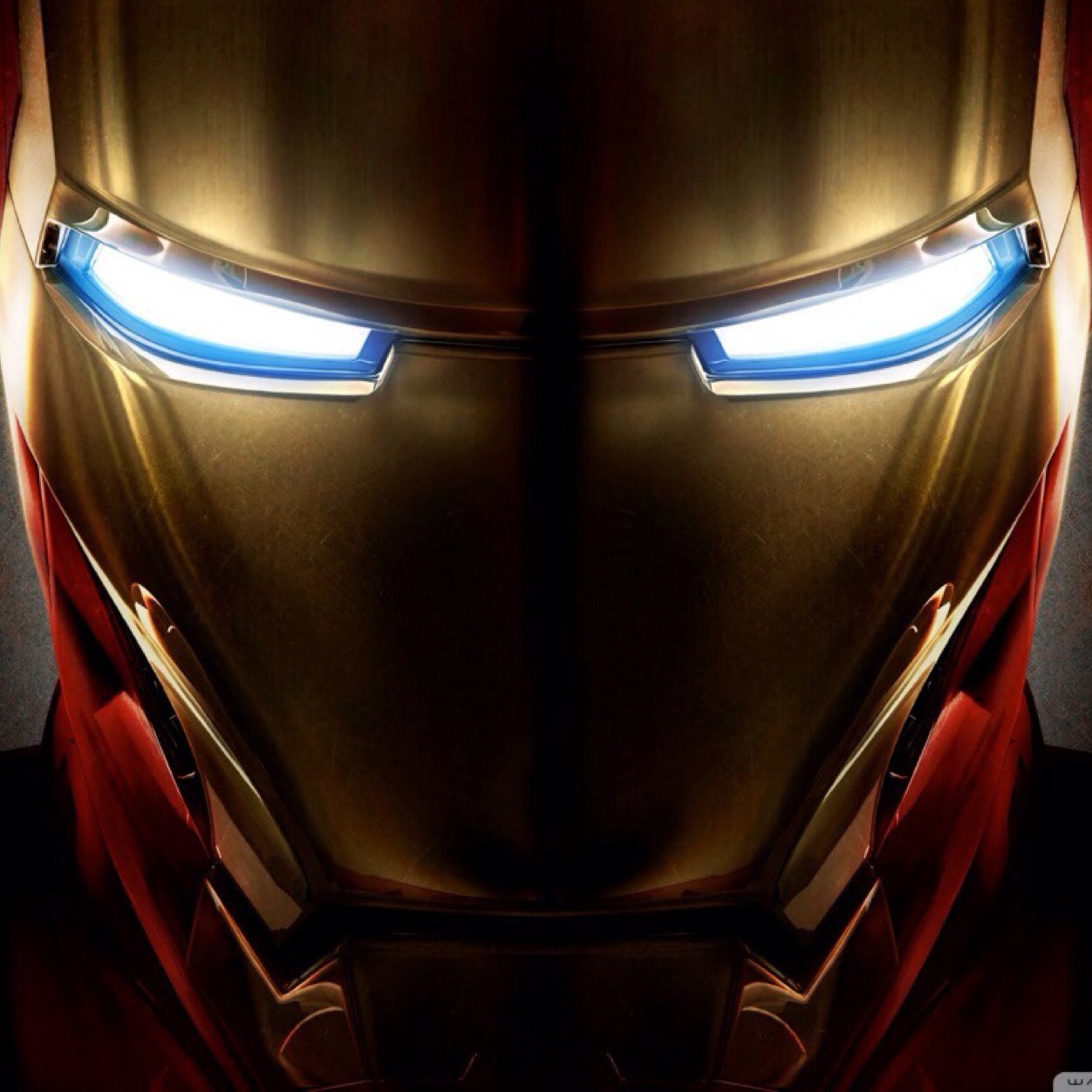 MGingalewski's profile picture. 