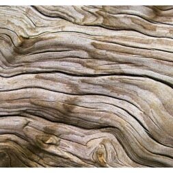 NEWS_EDC's profile picture. A consultancy with expertise in the field of the environment and development, specialising in advice and support for governments, businesses and organisations.