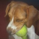 Harold Chavez - @haroldchavez - Twitter