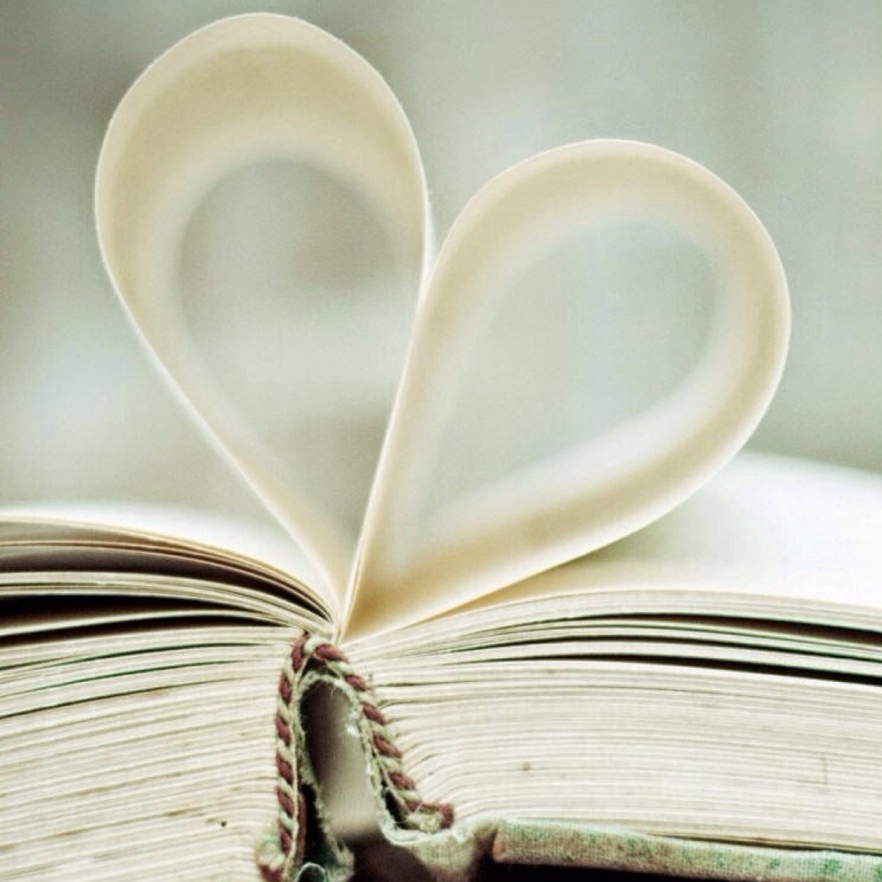 sabodig's profile picture. Cuando algo sucede de verdad es inexpresable.