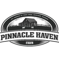 Pinnacle Haven Farm (@pinnaclehavenfa) 's Twitter Profile
