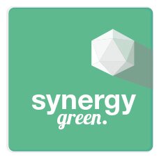 Synergy green è un organizzazione di professionisti in grado di analizzare, progettare e realizzare aree verdi.