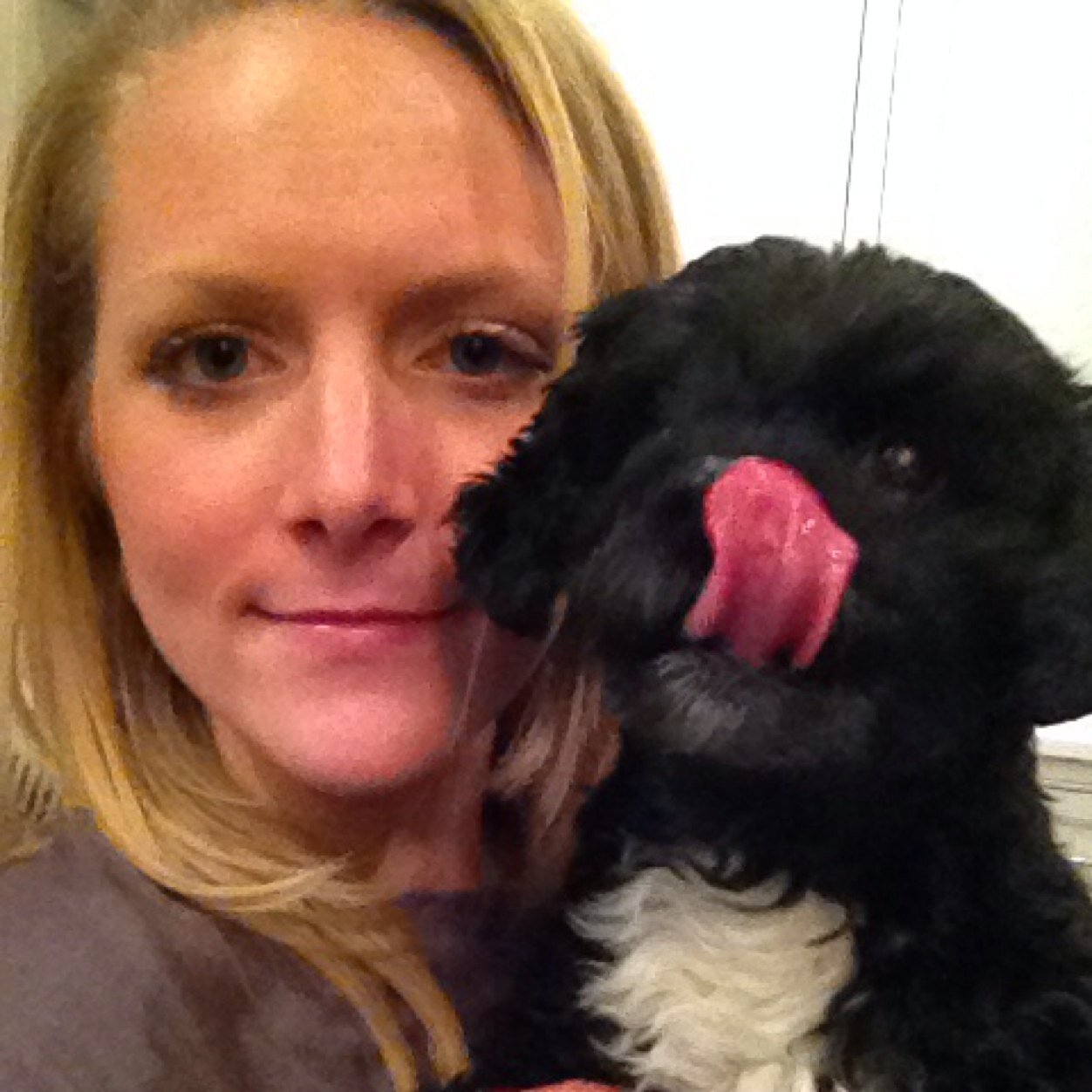 Bols2theWall's profile picture. 