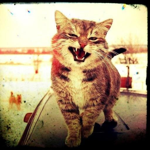 Vinni01Pyh's profile picture. 