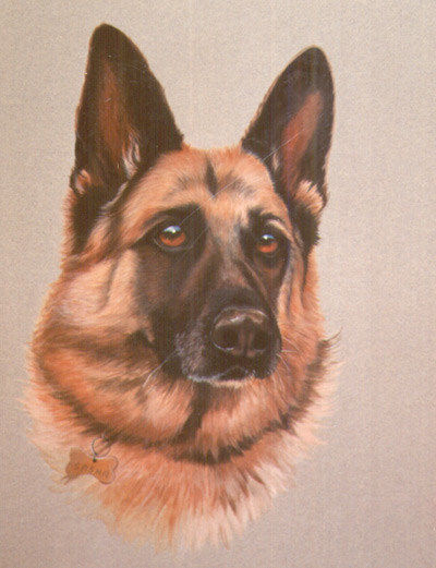 PsxGunman's profile picture. On a quest to the be the Internet's most popular unpopular member

World's second most sarcastic person

Lover of barbecues, hammocks and cider