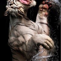 HéctorÁlvarezA1 (@hectoralvareza1) 's Twitter Profile