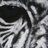 vixette's profile image