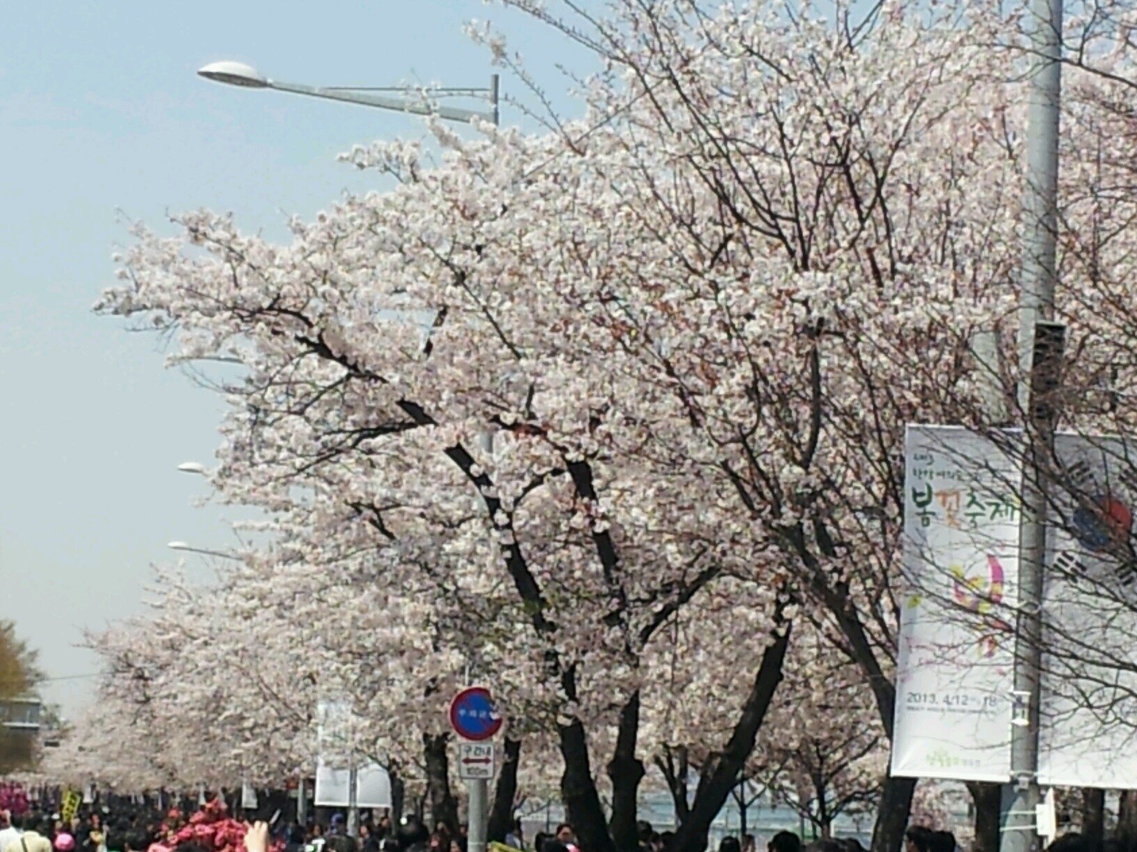 연극,뮤지컬을 좋아하는 전산 프로젝트 관리자