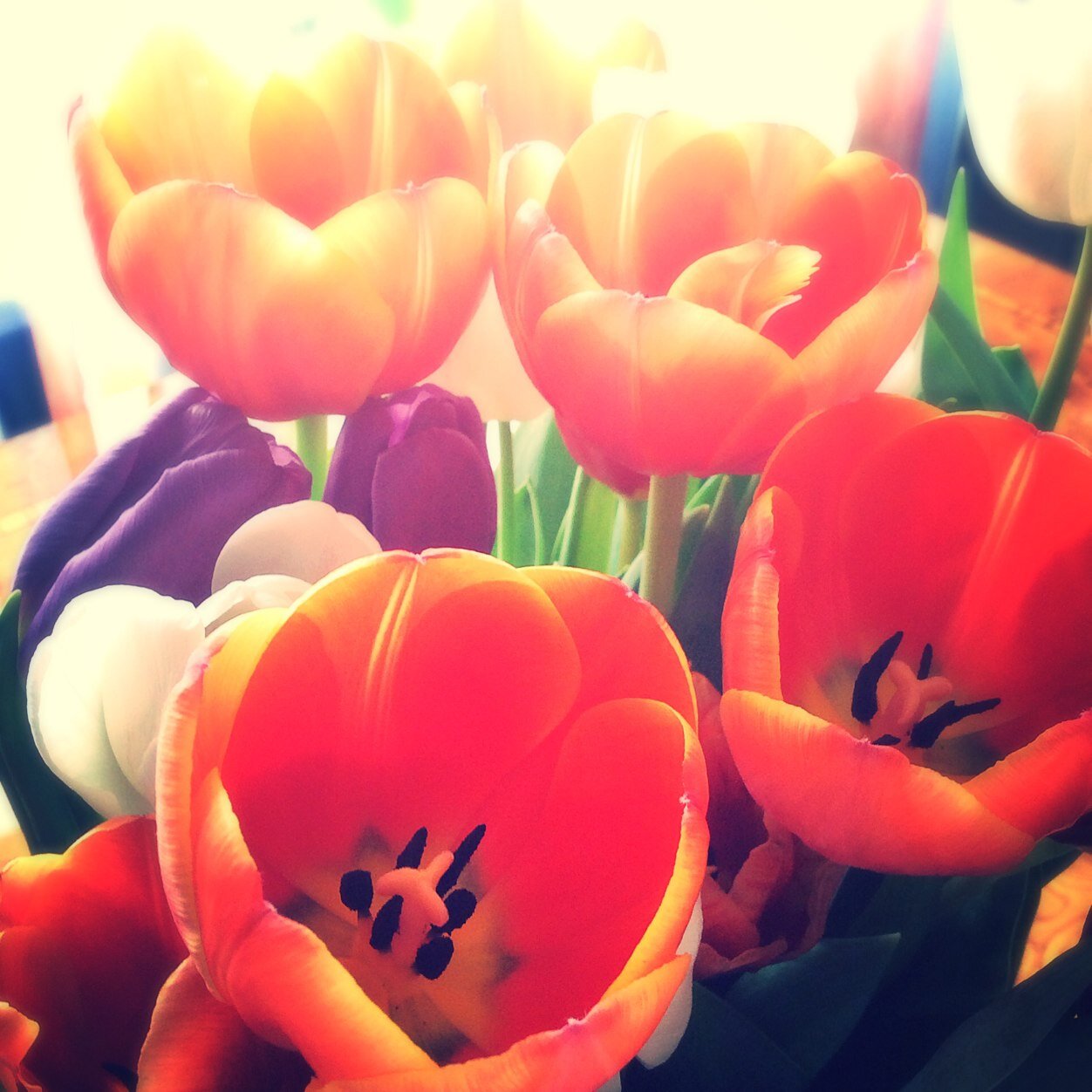 Peshexodka's profile picture. у меня есть я. мы справимся!