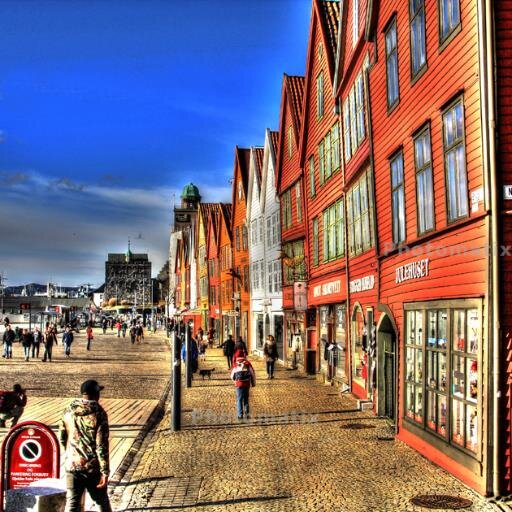 Trappen6's profile picture. 