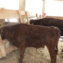 Greg Oldham - @GregO804 - Twitter