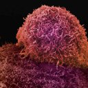 Fredrick James Dillo - @socialmediaall - Twitter