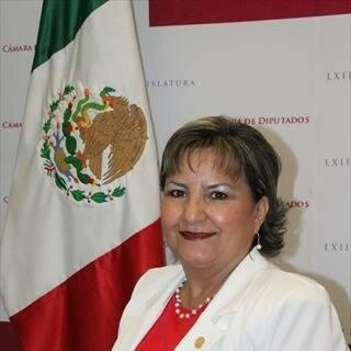 Cuenta Oficial de la Diputada Federal #DistritoVII Rebeca Terán Guevara #PRI #SLP #LXIILegistalura @DiputadosPRI @Mx_Diputados