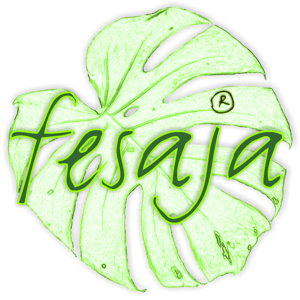 fesaja's profile picture. Exotische Samen und Pflanzen - fesaja®. Impressum: https://t.co/GcAjXU84wi