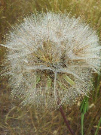 AtPreludium's profile picture. Rediscovering a love of books. Using my blog as an exercise  to experiment with words and record memories. Exploring new directions. Transplanted Irish.
