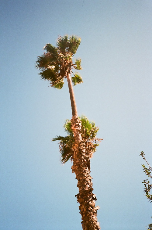 LEFTINLA's profile picture. REAL TALK