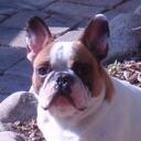 Dudley Clark - @doodablog - Twitter