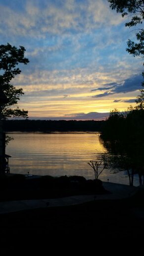 prlagana's profile picture. 