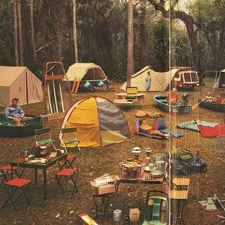 A really cool summer camp for the teens who just want to have fun!There're two groups in the camp:the Reds and Yellows! DM\@ for a role!Takens're in Favourites!