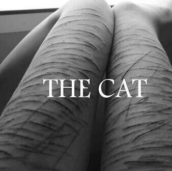 cause im broken.